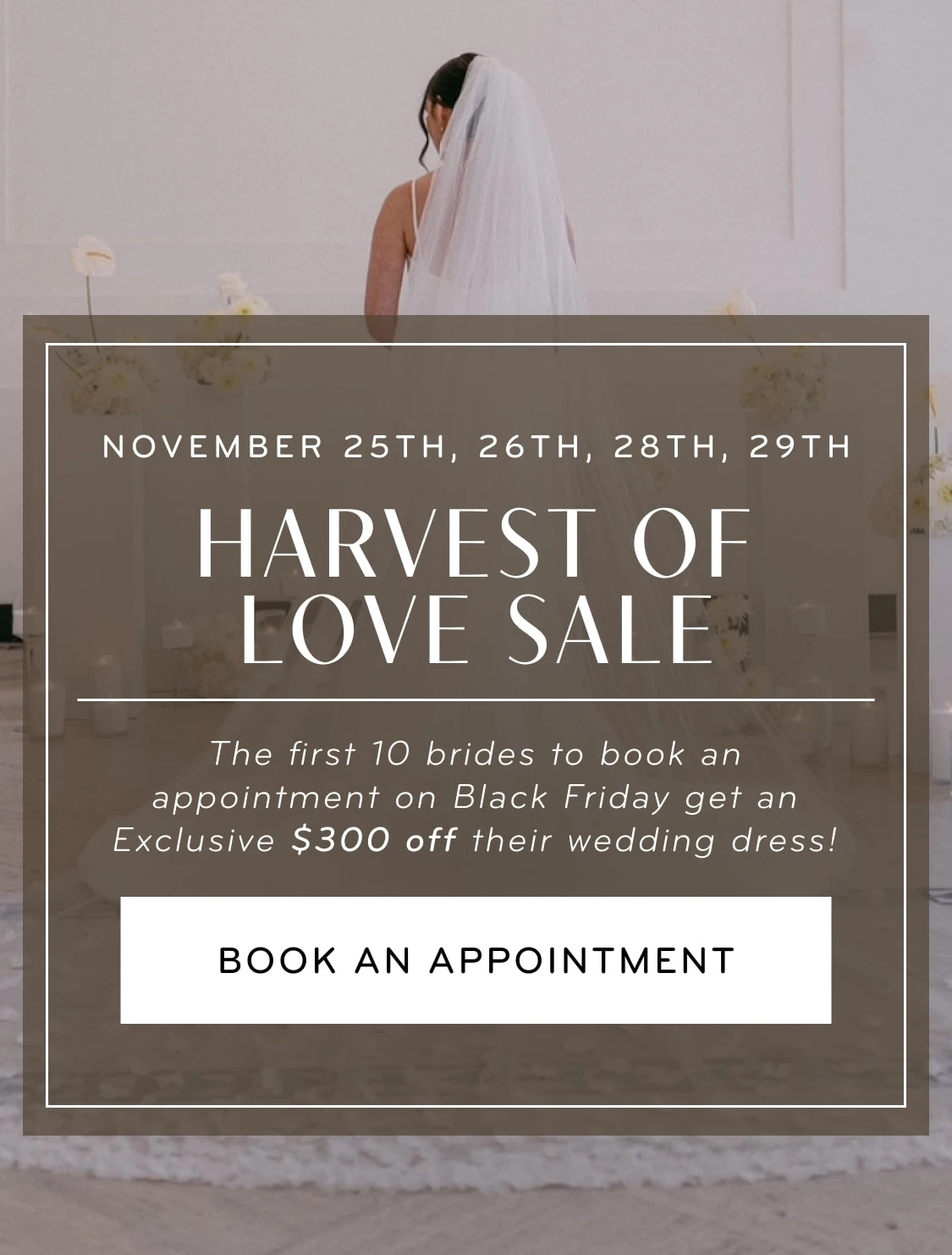 Harvest of Love Sale